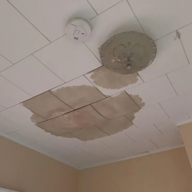 Ceiling Water Damage Repair in Hooverson Heights, WV