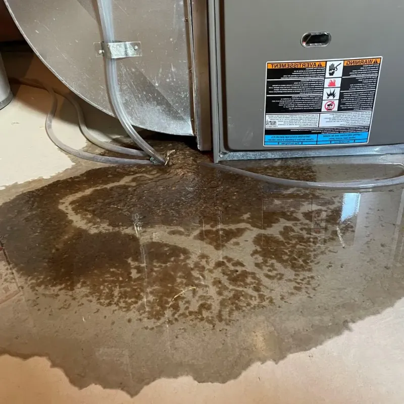 Pipe Burst and Leak Restoration in Hooverson Heights, WV