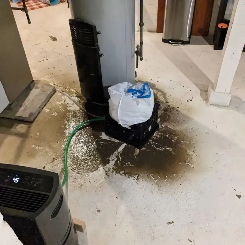 Sewage Backup Cleanup Service in Hooverson Heights, WV